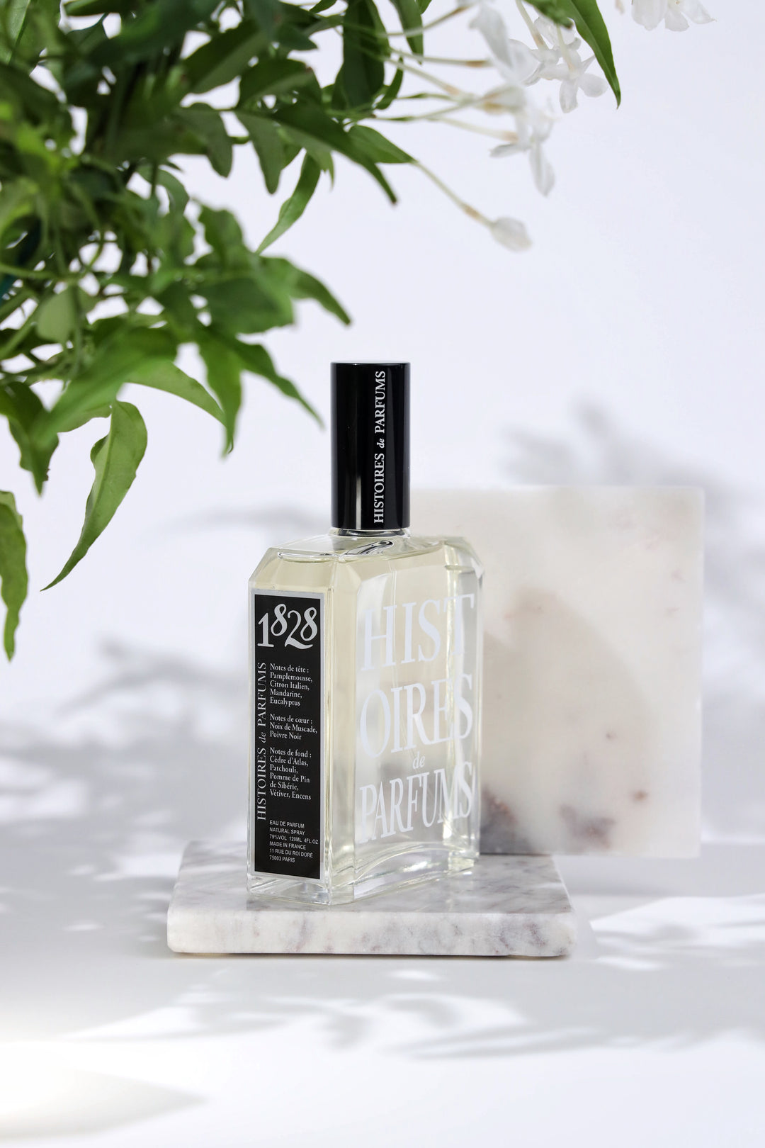 Best Niche Perfume - 1828 | SCENTIDO Fragrances Collection