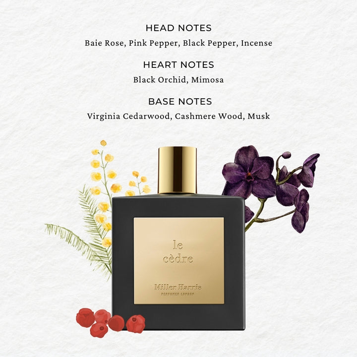 Buy Le Cedre perfume | Miller Harris – SCENTIDO